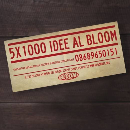 5X1000 al Bloom